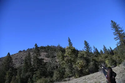 DSC_6496 (Large).JPG